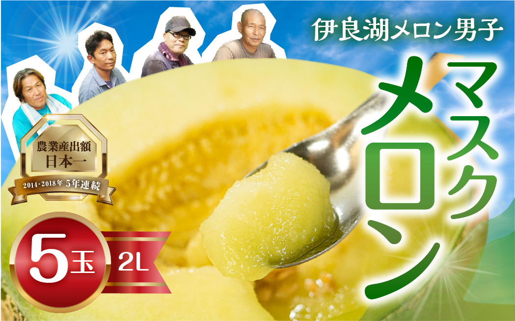 
            先行予約 伊良湖産 マスクメロン 5玉  箱詰め メロン フルーツ 果物 お中元 お取り寄せ ギフト 渥美半島 田原市 産地直送 送料無料
          