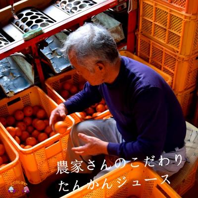 ふるさと納税 徳之島町 【2025年収穫!】完熟の幸せな甘み!徳之島たんかんジュース(2本) |  | 03