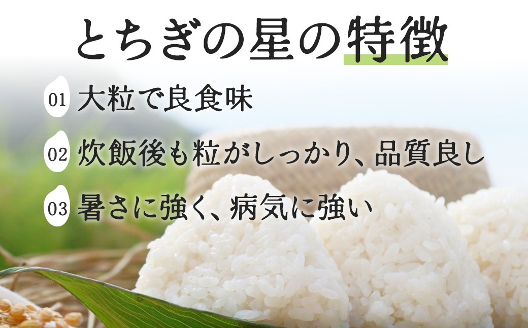 【数量限定】栃木県鹿沼市産 とちぎの星 無洗米 10kg（5kg×2袋）令和7年産 | 水稲うるち精米 単一原料米 お米 特A 大粒 甘さ ※沖縄・離島への配送不可