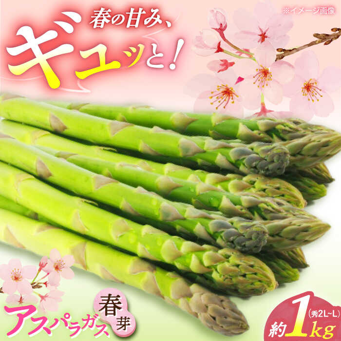【ふるさと納税】アスパラガス（ 春芽 ）約1kg 【2026年3月中旬〜5月上旬発送分】《小値賀町》【ながさき西海農協小値賀地区園芸部会】 [DAT004] アスパラ アスパラガス あすぱら あすぱらがす 野菜 春芽 旬 冷蔵 新着