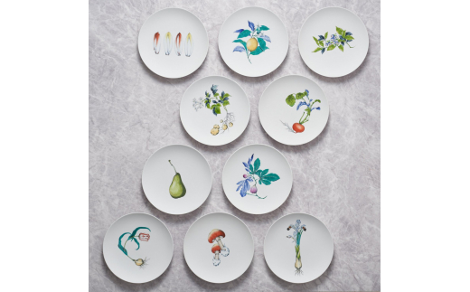 【伊万里焼】プレート 平皿 Chicory φ29cm Plate H830_イメージ4