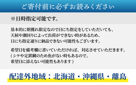 【定期便　隔月６回】【朝獲り】漁師厳選 鮮魚セット (中) 4種類以上 約3kg |  急速冷凍 詰め合わせ