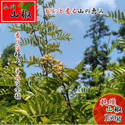 ふるさと納税 小川村 信州小川村　乾燥山椒の実150g*267