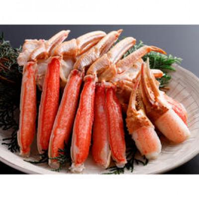 ふるさと納税 京丹後市 手軽に蟹を楽しめる【生食可】鮮度抜群!獲れたての旨さをご自宅に!生本ズワイガニ　ハーフポーション2肩