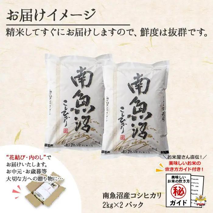 無地熨斗 新潟県 南魚沼産 コシヒカリ こしひかり お米 2kg ×2個 計4kg 精米 魚沼 米 炊き方ガイド付き お中元 お歳暮 gift ギフト プレゼント【銘柄米 ブランド米 精米 こしひかり