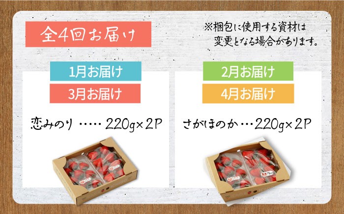 【1月発送開始！】赤いちご、人気2品種の食べ比べ！