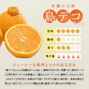 先行受付 2027年2月中旬～発送 島デコちゃん 約10kg しらぬい