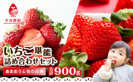 
                  いちご堪能詰め合わせセット「あまおう450g」＋「旬の品種450g」（合計900g）｜2027年1月下旬～順次発送＜ひらい観光農園＞ あまおう いちご 苺 イチゴ フルーツ 果物 くだもの 人気 旬 福岡県産 食べ比べ 採れたて セット 冷蔵配送 数量限定 期間限定 産地直送 福岡県 八女市
                
