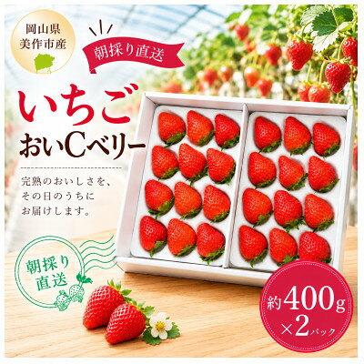 【ふるさと納税】【2027年1月より順次発送】岡山県美作市産　おいCベリー(約400g×2パック)【配送不可地域：離島・北海道・沖縄県】【1788594】