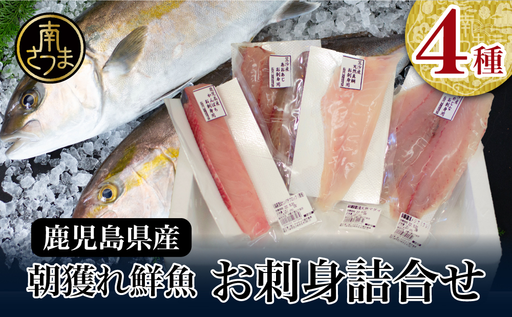 ★お申込みの翌月にお届け★【漁師厳選】朝獲れ鮮魚のお刺身詰め合わせ(4種) 冷蔵 鮮魚 生食用