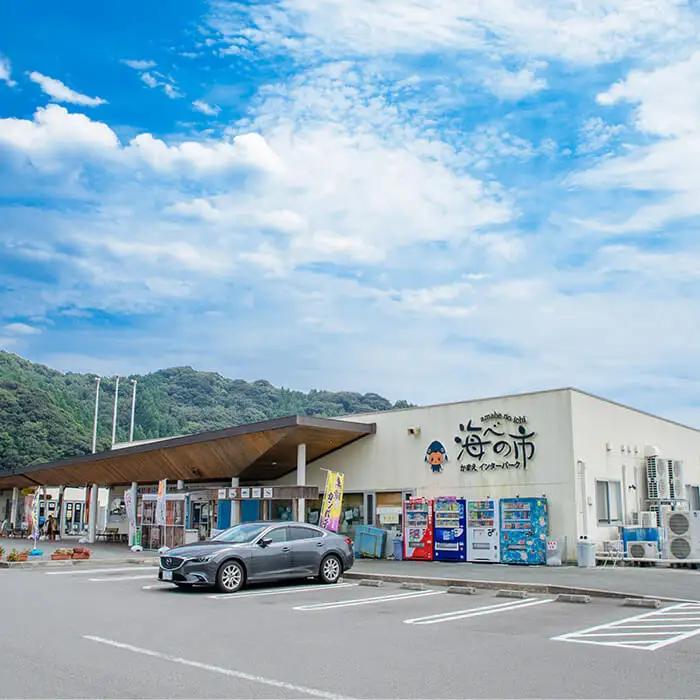 マダイ 刺身用 ブロック (1匹分・4-5人前) マダイ 真鯛 鮮魚 刺身 海鮮 鮮魚 さしみ 刺し身  【opba004】【海べ】