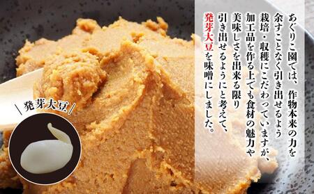【バランス農法】農薬や肥料を使わずに育てたユキホマレで仕込んだ発芽大豆味噌【味噌 味噌 味噌 味噌 味噌 味噌 】