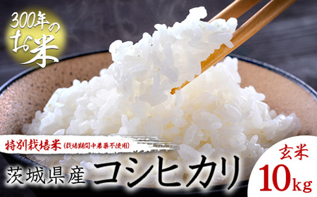 【令和7年産】【300年のお米】特別栽培米（栽培期間中農薬不使用）茨城県産コシヒカリ 玄米 10kg お中元 お歳暮 内祝い 快気祝い