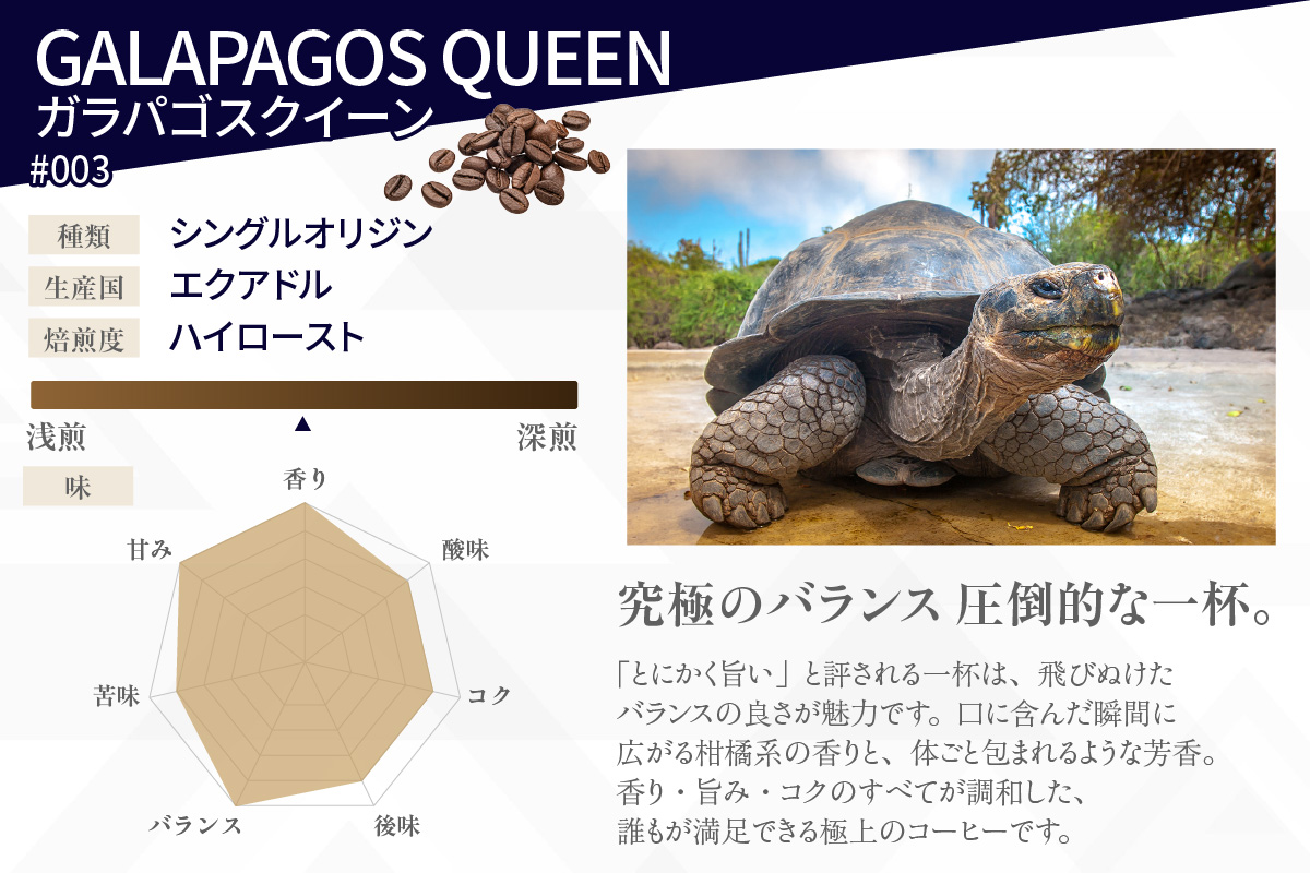 [№40-3234]レアコーヒー・プレミアムセット【粉に挽く】