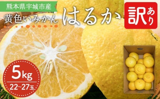 【先行受付】  訳あり はるか 約5kg（22玉～27玉）【吉田レモニー】【2026年2月上旬～2026年5月下旬発送】