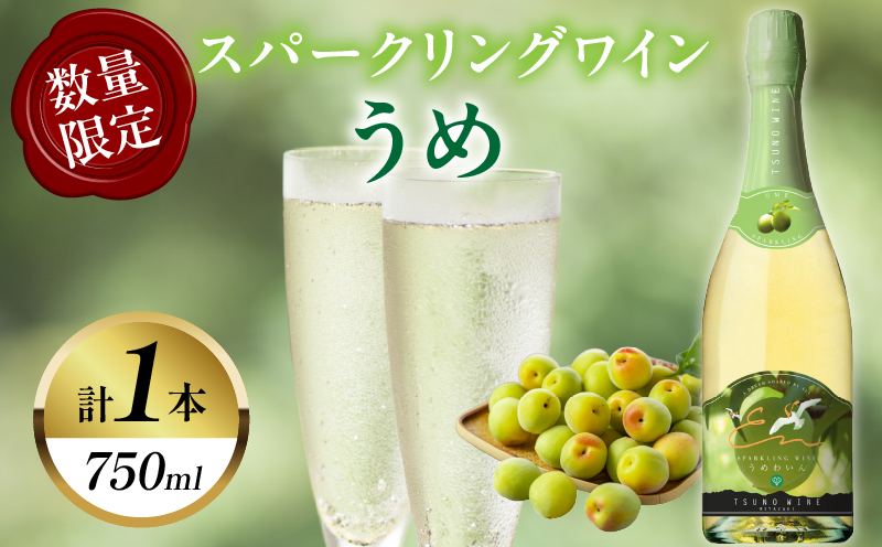【数量限定】スパークリングワインうめ(計1本) 酒 飲料 アルコール 国産_T014-0305