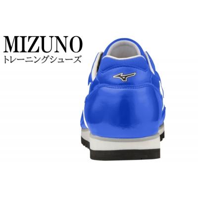 ふるさと納税 宍粟市 ミズノトレーニングシューズ　BUILT　TRAINER【スカイブルー×パールホワイト2E】 AO36 |  | 01