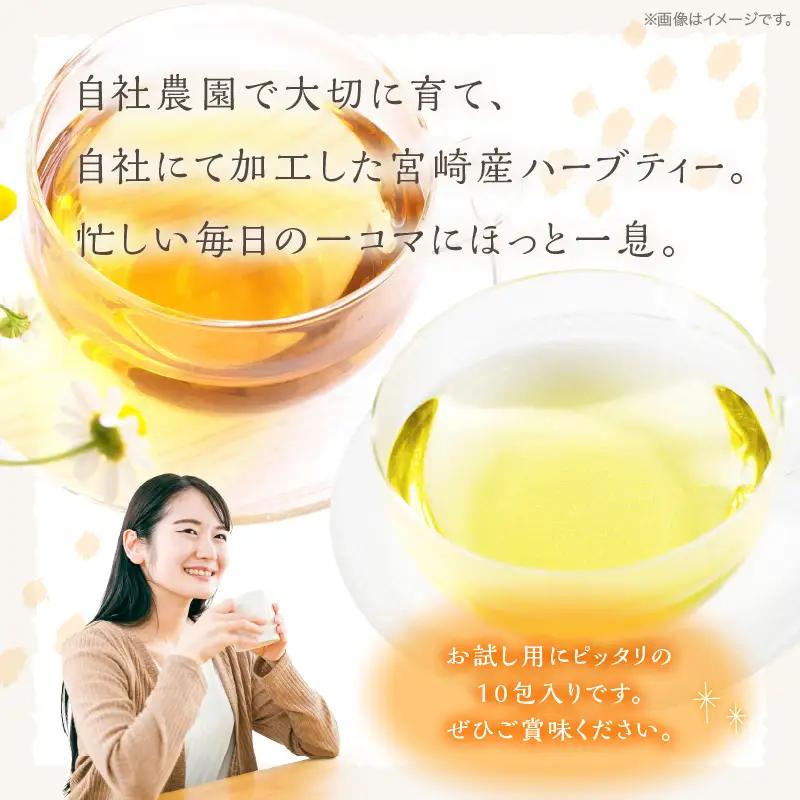 モリンガ茶・カモミールティー10パックセット モリンガ カモミール 茶