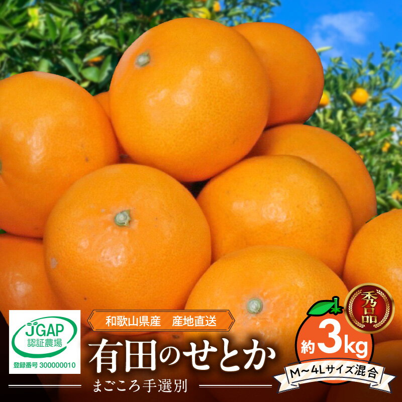【ふるさと納税】【2026年先行予約】 【まごころ手選別】 せとか 約3kg 秀品 Mサイズ ～ 4Lサイズ サイズ混合 コク 濃厚 ジューシー 理想的 果実 ひとつずつ 手選別 みかん 柑橘 フルーツ 果物 デザート お取り寄せ 和歌山県 湯浅町 送料無料