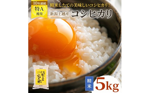 
                  令和8年産 【11月配送】 新潟県上越市産 コシヒカリ 5kg 先行予約 新米 蛍の里
                