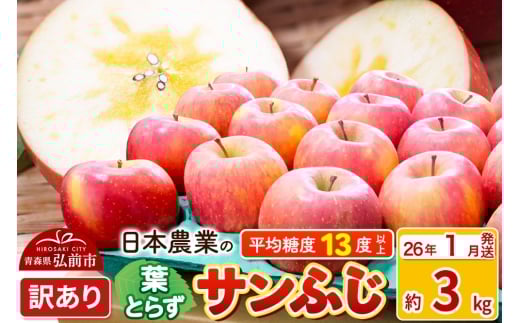 【26年1月発送】りんご 平均糖度13度以上！ 葉とらずサンふじ 約3kg 訳あり 青森 果物 フルーツ 林檎 リンゴ くだもの 不揃い 規格外 [u9]