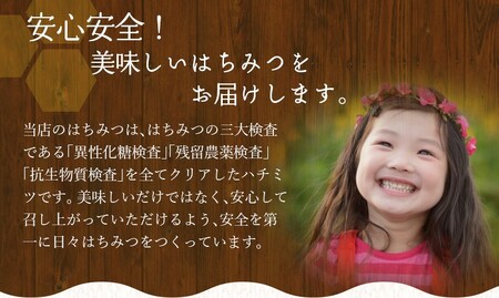 希少ハチミツ 南紀熊野蜜 400g（200g×2個） / 古座川流域で採取した日本みつばちのはちみつ 南紀熊野蜜B はちみつ 国産 日本ミツバチ 【tkd201】