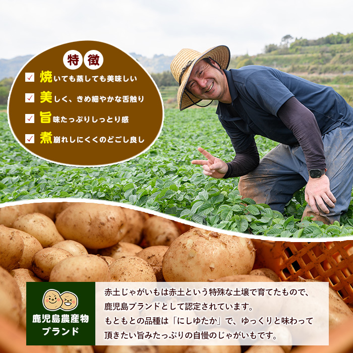 《先行受付:５月発送》長島町 いから島産 赤土 じゃがいも10kg 【高橋農園】takahashi-7308