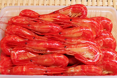 北海しまえび500g×1P A-14270