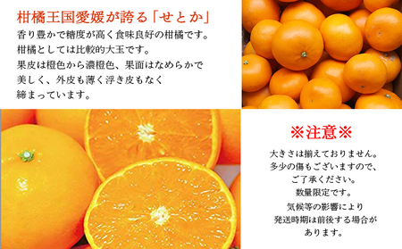 愛媛県明浜産　せとか（2.5㎏）