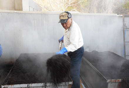 【令和８年収穫 先行予約】新物！房州さいぶのひじき（大）65g×５袋　[0020-0049]