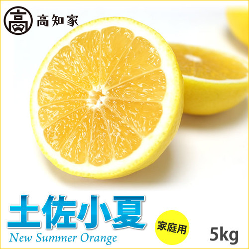 
            【D06021】高知産　ご家庭用「土佐小夏」約5kg（期間限定品）(土佐市)
          