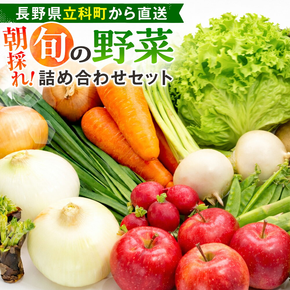 【ふるさと納税】【長野県立科町から直送！】朝採れ 旬の野菜詰め合わせセット | 産地直送 朝採れ 新鮮 野菜 セット おかず お弁当 時短 便利 おまかせ 詰合せ 長野県 信州 蓼科