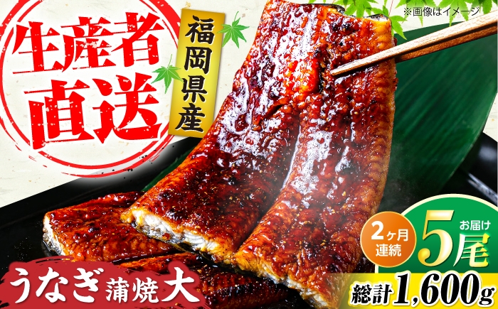
                  【全2回定期便】福岡県産 うなぎ 蒲焼 大5尾 計800g（1尾あたり160g以上）《豊前市》【福岡養鰻】[VAD035] 定期便 うなぎ ウナギ 国産 九州産 鰻 ウナギ unagi 定期便 うな重 うな丼 ひつまぶし 蒲焼 かばやき タレ ギフト 贈答 定期 5尾 ギフト
                