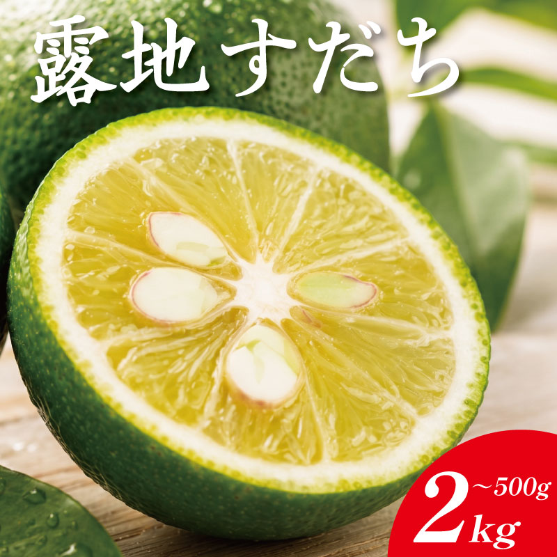 【ふるさと納税】 露地すだち 500g ～ 2kg すだち 【8月中旬から9月末発送】 徳島県産 スダチ 酢橘 ゆず レモン の代わりに 焼き魚 さんま かつお 刺身 唐揚げ そうめん お酒 に最適 徳島県 神山町 5000円 以内