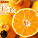 【ふるさと納税】【先行予約】長崎県産　ハウス不知火 3L玉（約330～380g）6～7玉