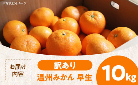 【先行予約】【11月中旬から順次発送】【ちょっと訳あり】 温州みかん 愛媛県産 早生 みかん 10kg 温州みかん 柑橘 みかん 愛媛県大洲市/有限会社カーム/カームシトラス[AGBW007]みかんミ