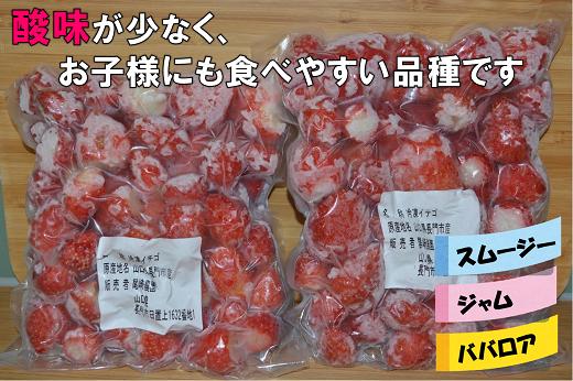 (1019)長門産　冷凍いちご【かおりの】(500g×2袋)