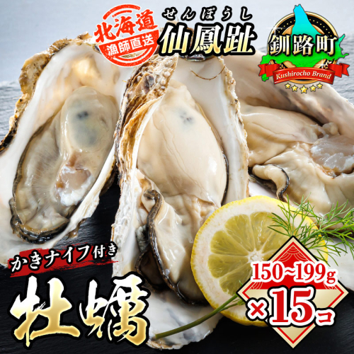 北海道 仙鳳趾名産 牡蠣 150g〜199g×15コ＋かきナイフ付き 漁師直送K4-3＜センポウシ : 釧路町の東 厚岸湾の西 カキの名産地＞ 釧路町 釧路超 特産品