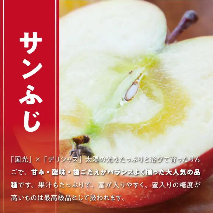 りんご サンふじ 秀 ～ 特秀 5kg 松澤農園 沖縄県への配送不可 2026年11月下旬頃から2027年2月上旬頃まで順次発送予定 令和8年度収穫分 長野県 飯綱町 [0502]