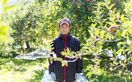 ＜先行予約＞福島県産 甘い りんご ふじ 5kg （12玉～20玉） リンゴ フルーツ 果物 F6Q-289