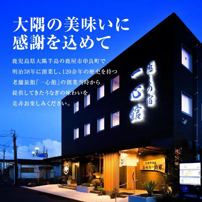 【 全3回 定期便 】 鹿児島県産 うなぎ の かば焼き 1尾 KN174-T01 定期 ウナギ 鰻 蒲焼き 冷凍