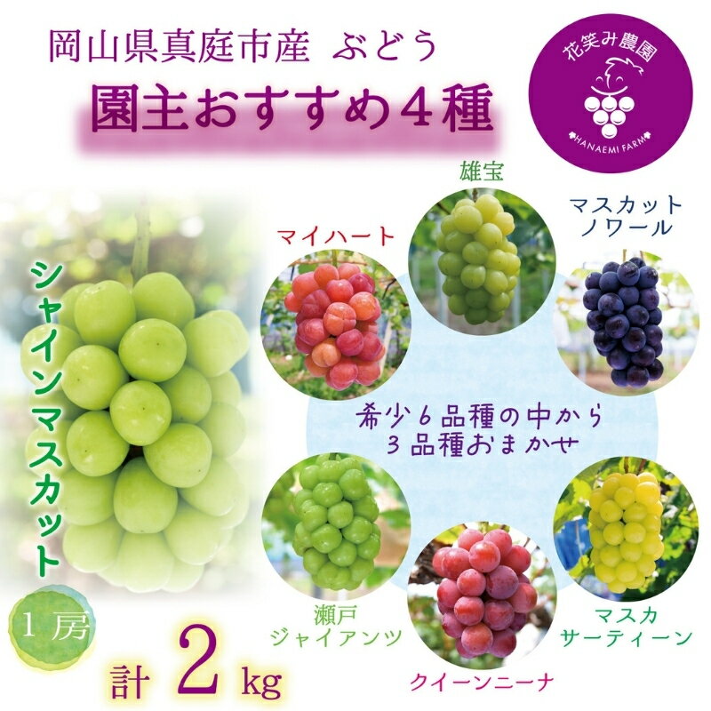 【ふるさと納税】 岡山　花笑み農園の『園主おすすめぶどう4種セット』(4房)　4M-2R hana69【2025年9月下旬〜順次発送】シャインマスカット 産地直送 国産 真庭 ギフト 葡萄 ブドウ フルーツ 果物 食べ比べ 贈答 数量限定 先行予約 豪華 【配送不可地域：離島】【1596846】