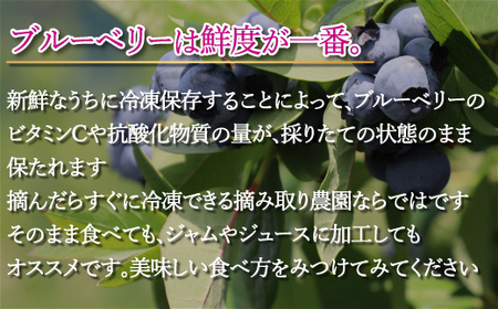 冷凍ブルーベリー2kg(石井ブルーベリー園) KBI002