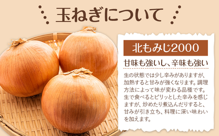 玉ねぎ たまねぎ 玉葱 約10kg サイズ混合《12月上旬-1月下旬より順次出荷》嶋崎農園 送料無料 北海道 本別町 北海道 十勝 本別町産 オニオン カレー サラダ スープ 野菜