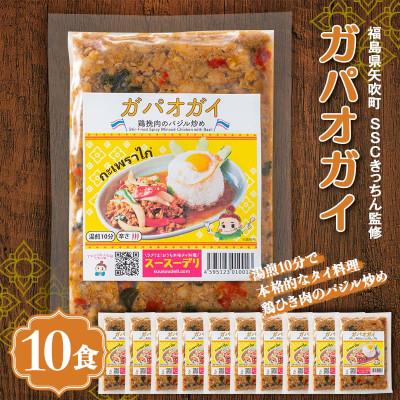 ふるさと納税 矢吹町 ラクうま!おうち本格タイ料理 ガパオガイ(鶏ひき肉のバジル炒め)10食入り