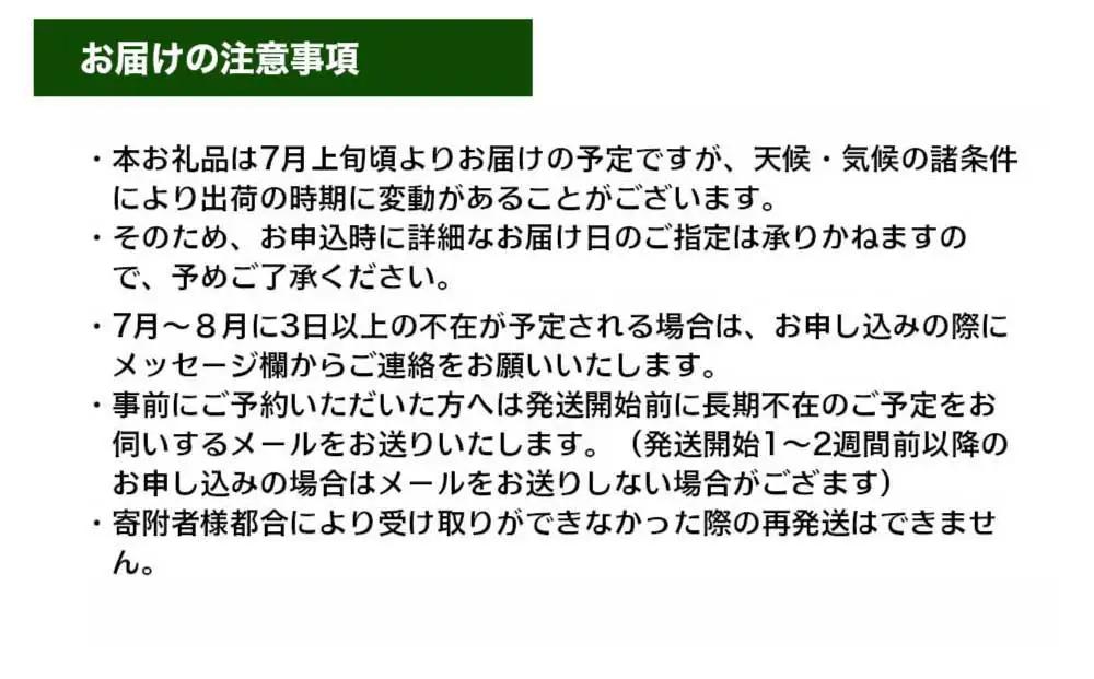 生とうもろこし 2Lサイズ 6本 有機肥料使用のスイートコーン！ 長野県東御市産 ※7月上旬から順次発送予定※発送日指定不可