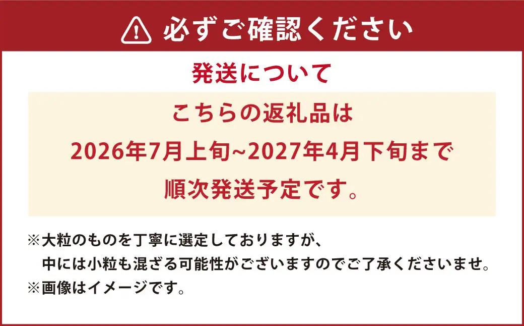 熊本県産 大粒 冷凍ブルーベリー 1.5kg（500g×3パック） フルーツ 果物 くだもの 冷凍 ブルーベリー 国産 【2026年7月上旬発送開始】