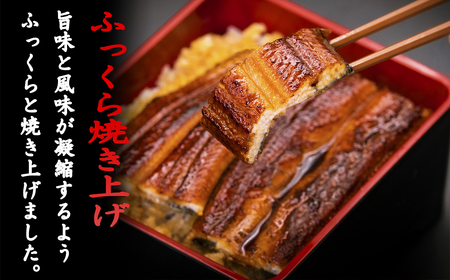 【高知満喫定期便】厳選!!藁焼きかつおのタタキ1節と高知県産うなぎの蒲焼き1尾セット×6回定期便