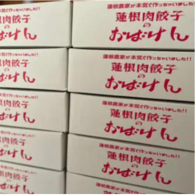 ふるさと納税 鹿嶋市 【毎月定期便】蓮根肉餃子のおばけん[70粒]全12回 |  | 01