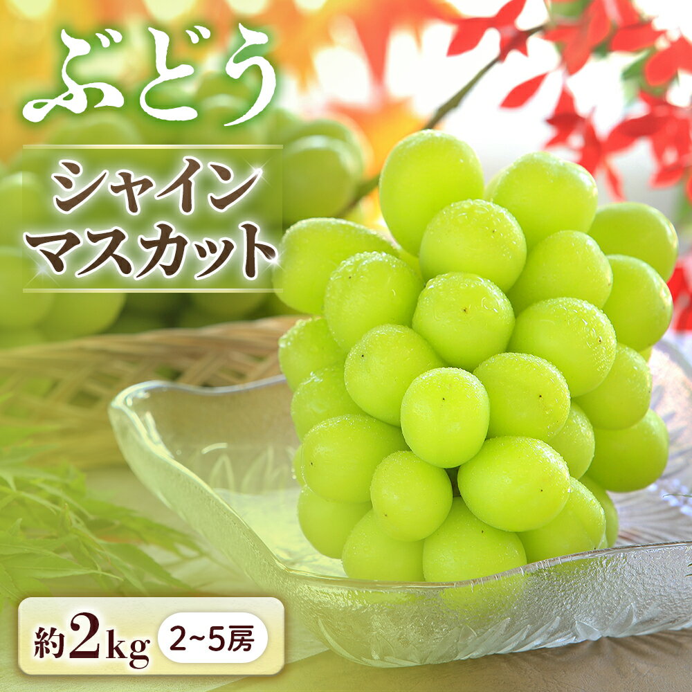 【ふるさと納税】＜先行予約＞ぶどう シャインマスカット 約2kg【2～5房】※2025年9月中旬～10月上旬発送予定※